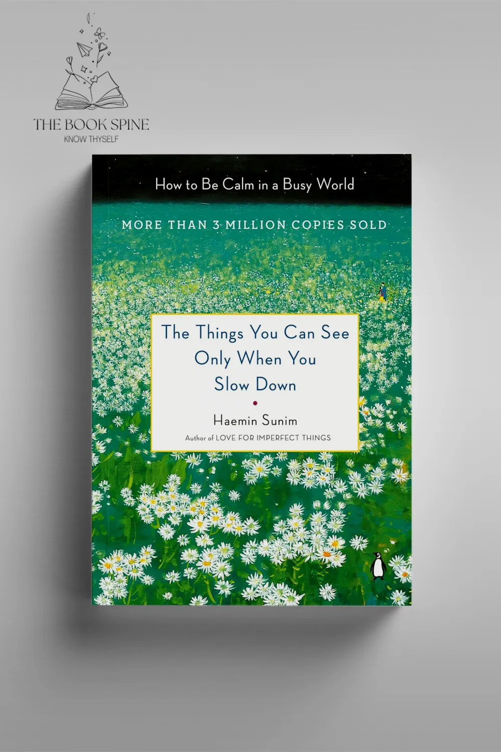 The Things You Can See Only When You Slow Down by Haemin Sunim