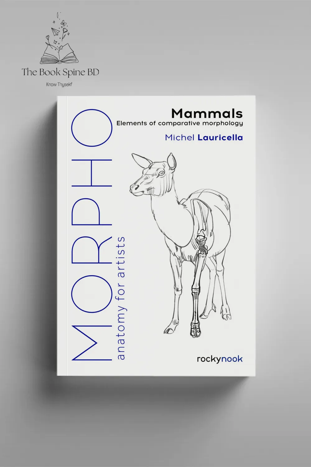 Morpho: Anatomy for Artists (10 book series) photo 2