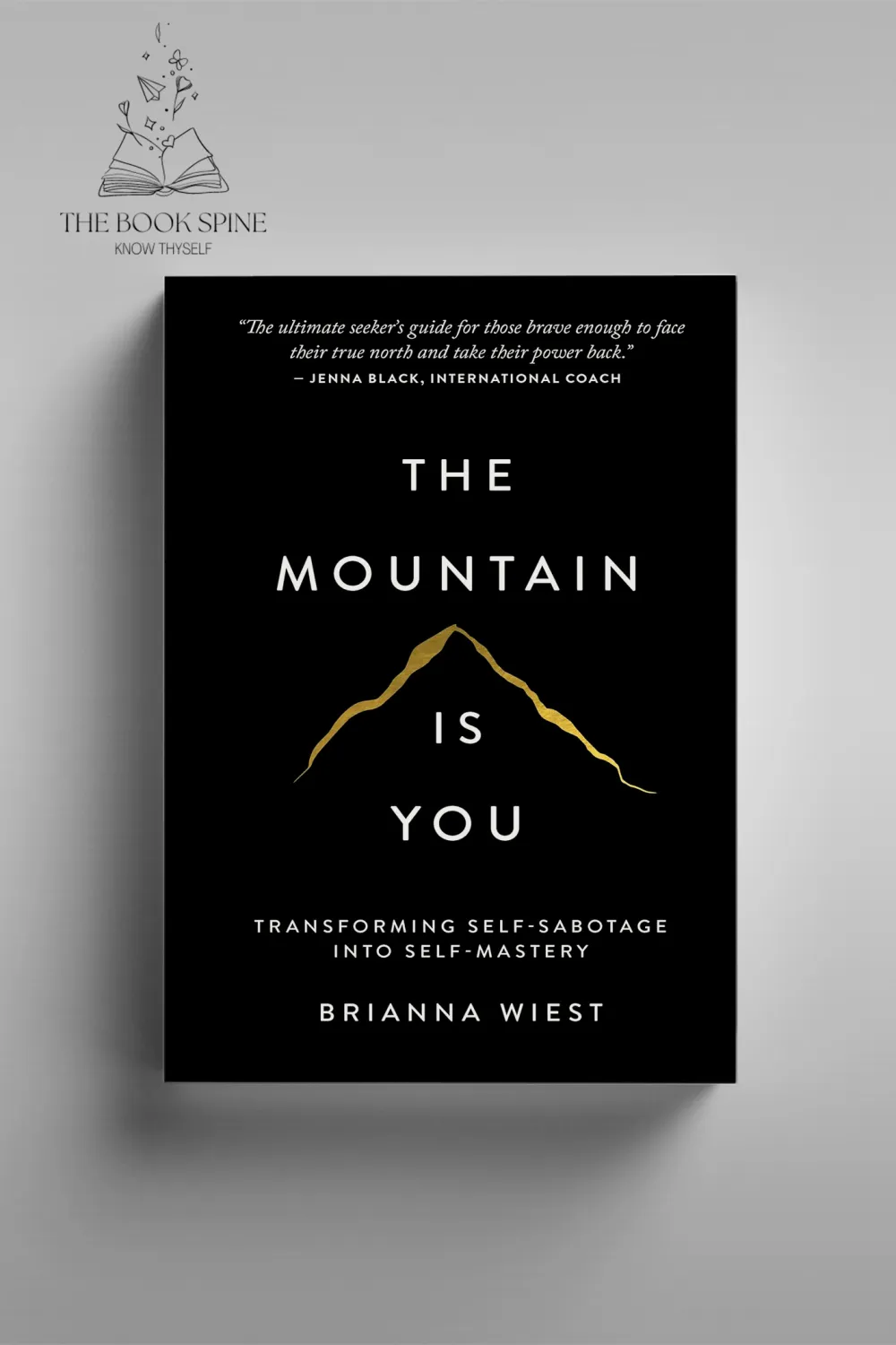 The Mountain Is You by Brianna Wiest